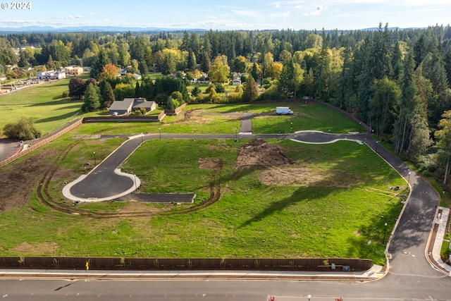 6519 NE 123rd St, Vancouver WA, 98686 land for sale