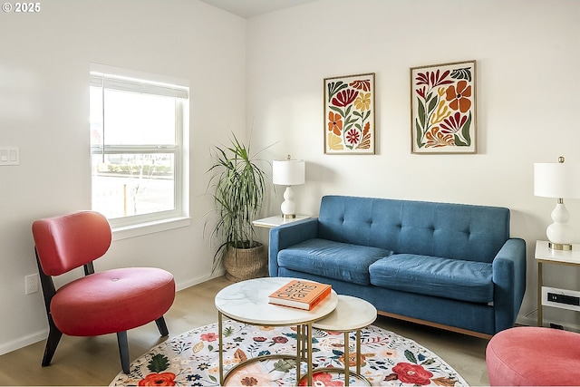 living room with wood-type flooring