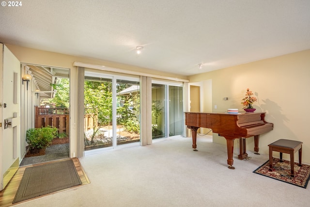 sitting room with carpet floors