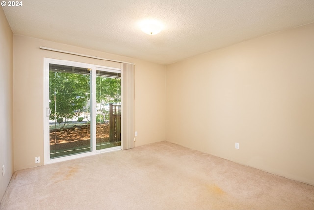 carpeted spare room featuring a textured ceiling