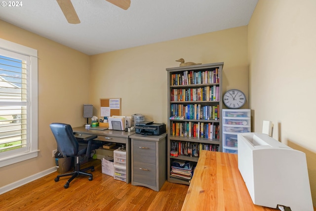 office area featuring ceiling fan and light wood-type flooring