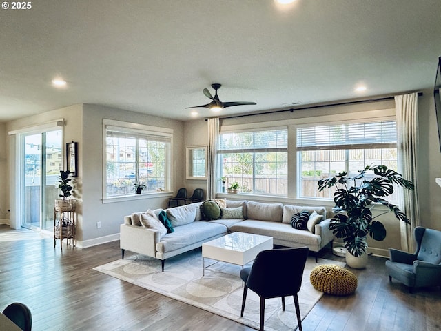 living room featuring ceiling fan, a wealth of natural light, and hardwood / wood-style flooring