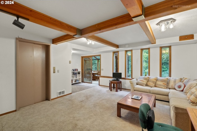 carpeted living room featuring a healthy amount of sunlight and beam ceiling