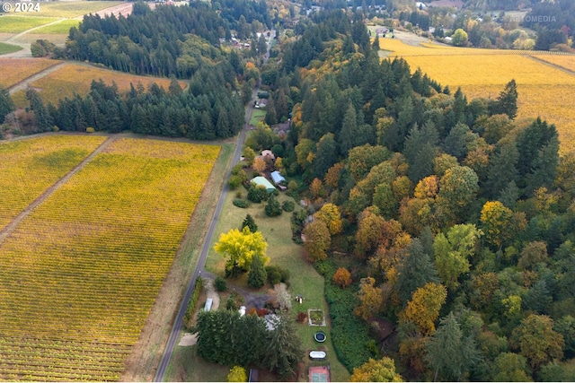 drone / aerial view featuring a rural view