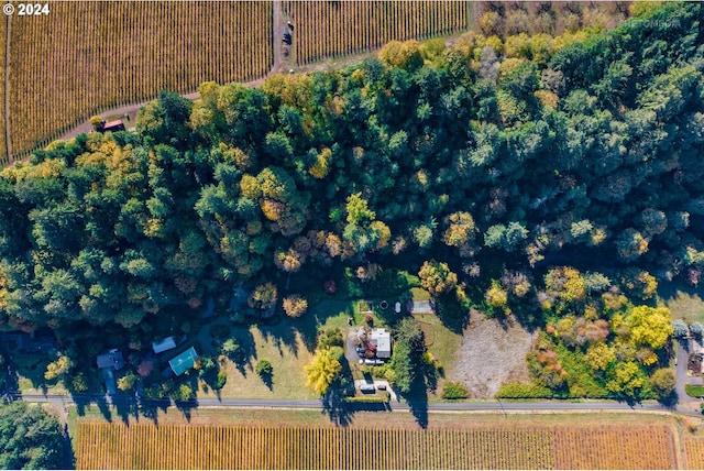 aerial view with a rural view