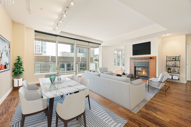 living room featuring a tile fireplace, wood-type flooring, and track lighting