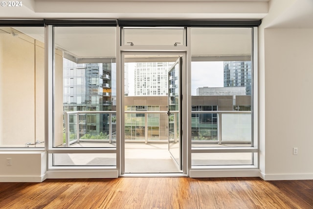 entryway with light hardwood / wood-style flooring and a wealth of natural light