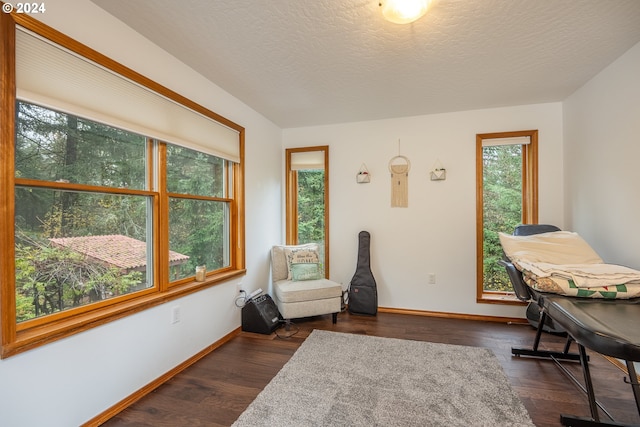 sitting room featuring a textured ceiling and dark hardwood / wood-style floors