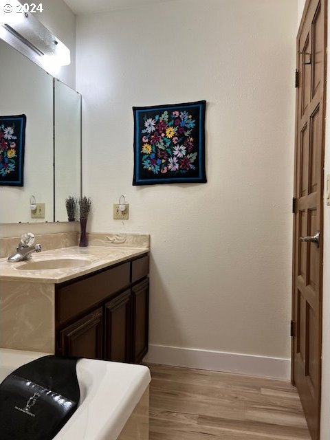 bathroom with hardwood / wood-style floors and vanity