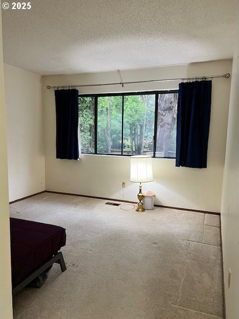 carpeted spare room with a textured ceiling