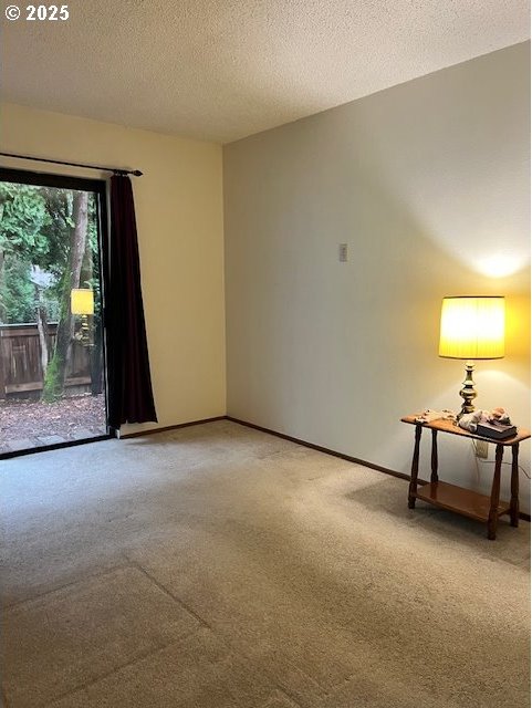 empty room with carpet floors and a textured ceiling