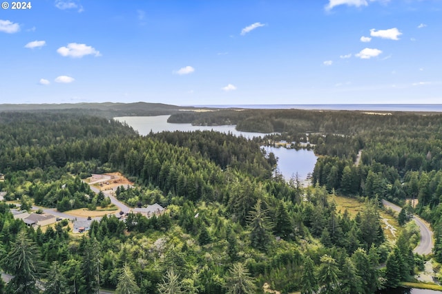 6018 Little Woahink Dr, Florence, OR 97439 - view of property location with a large body of water