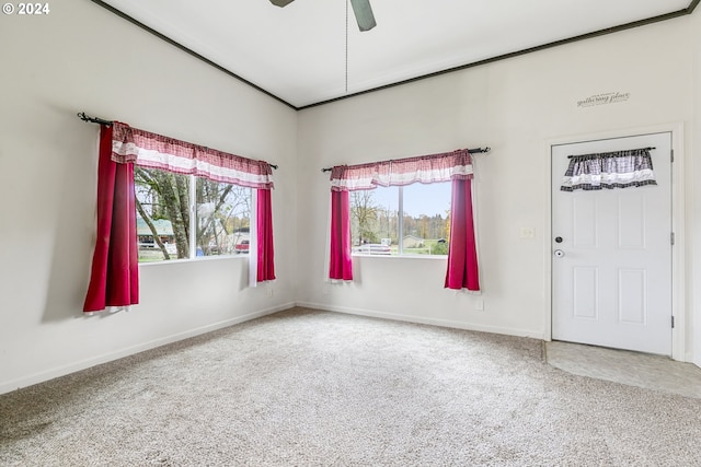 spare room featuring a wealth of natural light, ceiling fan, and carpet