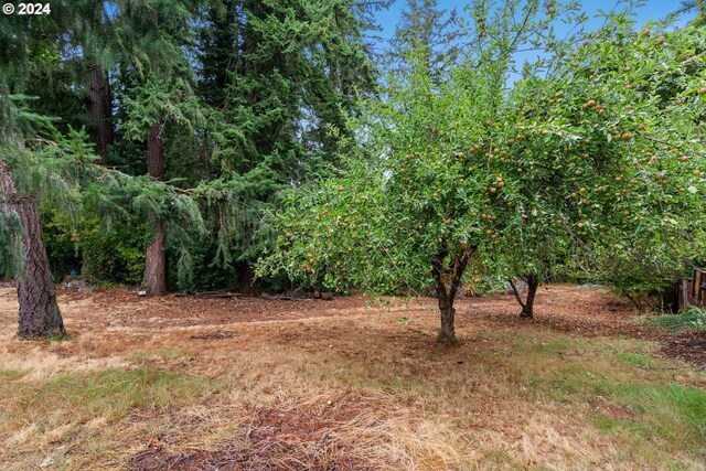 Listing photo 3 for 0 SE Willamette, Milwaukie OR 97222