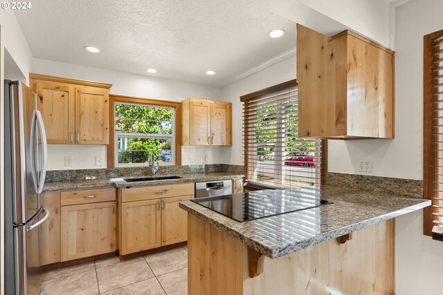 kitchen with appliances with stainless steel finishes, a healthy amount of sunlight, kitchen peninsula, and sink