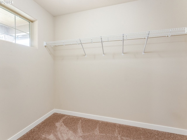 spacious closet with carpet flooring