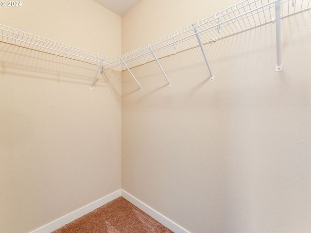 walk in closet featuring carpet floors