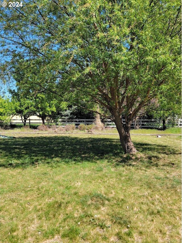 71823 Meadow Loop, Boardman, OR 97818 - view of yard