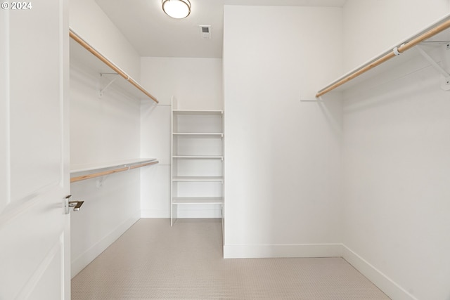 view of spacious closet