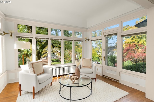 sunroom featuring radiator and plenty of natural light