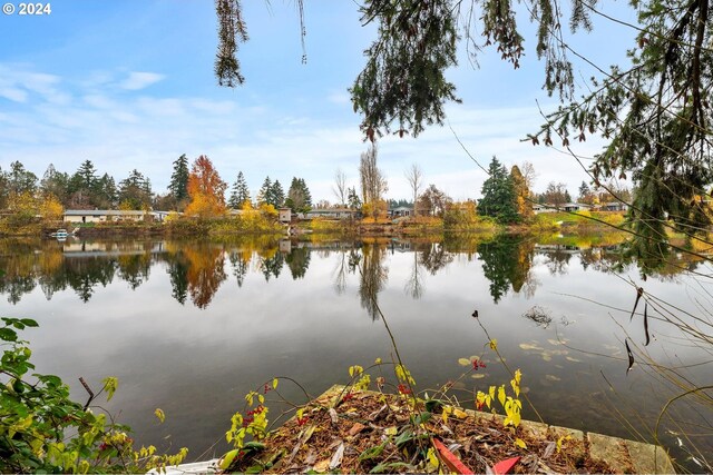 property view of water