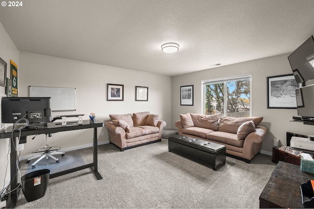 carpeted living room with a textured ceiling