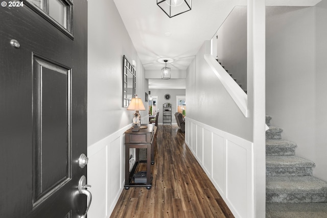 entryway with dark wood-type flooring