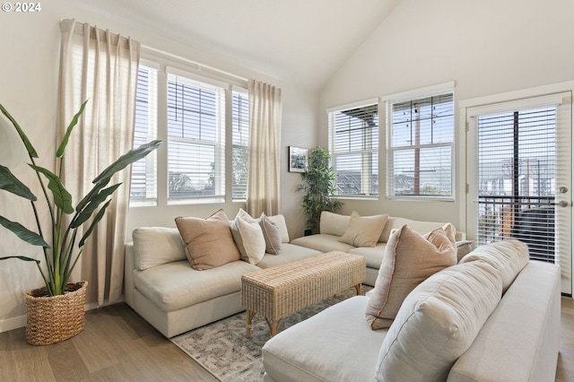 living room with hardwood / wood-style floors and high vaulted ceiling