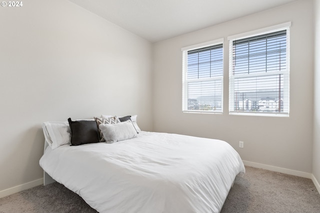 bedroom with carpet flooring