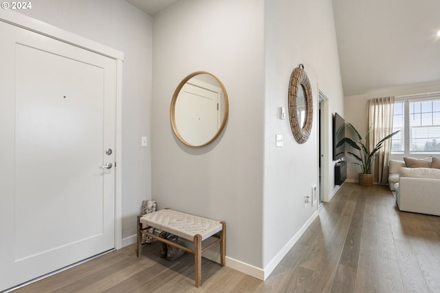 foyer with hardwood / wood-style flooring