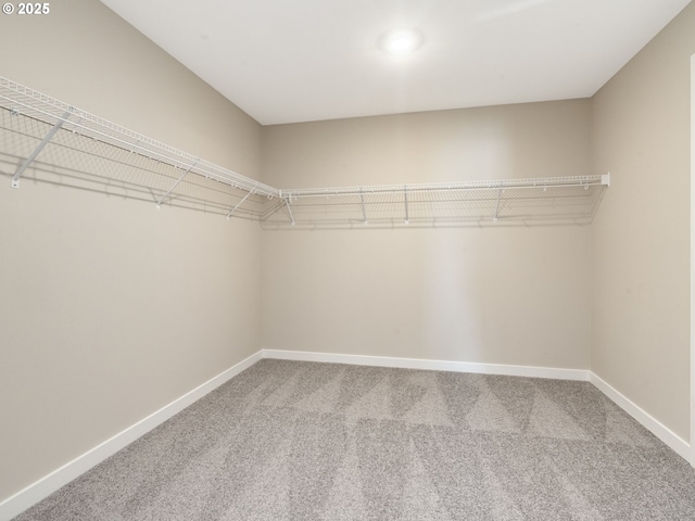 walk in closet with carpet