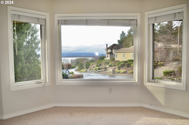 interior space with carpet floors