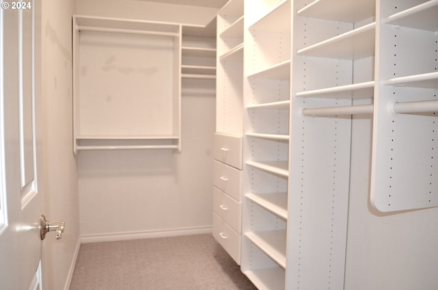 walk in closet featuring carpet floors