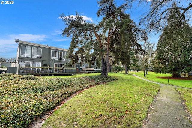 view of yard featuring a deck