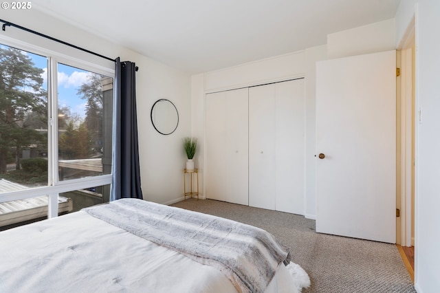 bedroom featuring a closet and carpet flooring