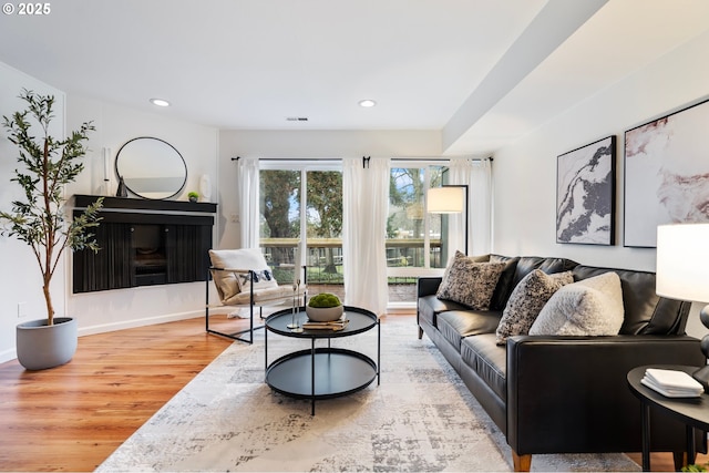 living room featuring wood-type flooring