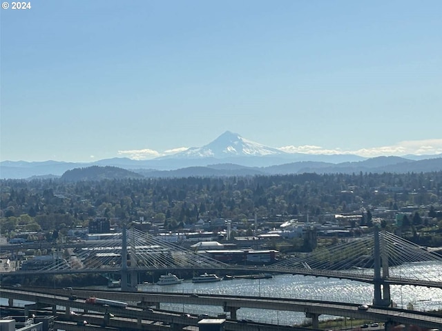 view of mountain feature