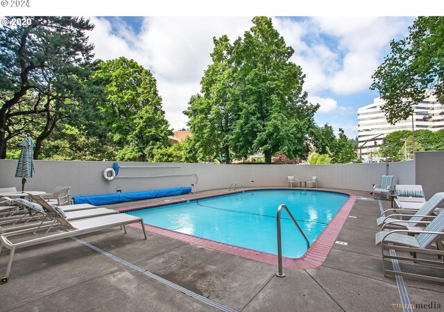 view of swimming pool with a patio area