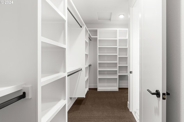 spacious closet featuring dark carpet