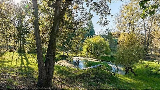 view of nature featuring a water view