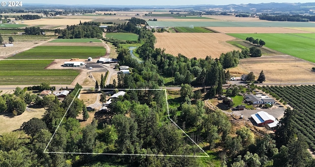 birds eye view of property featuring a rural view