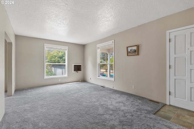 carpeted spare room with a wealth of natural light and a textured ceiling