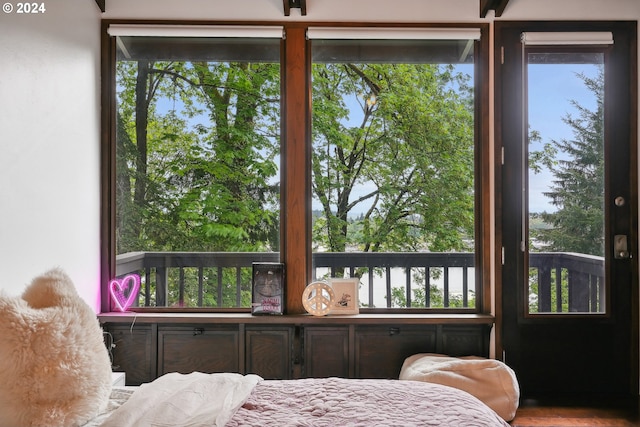 bedroom with access to exterior