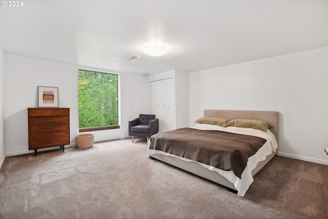 carpeted bedroom with a closet and baseboards