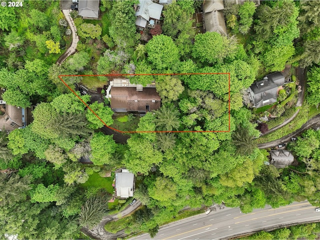 drone / aerial view