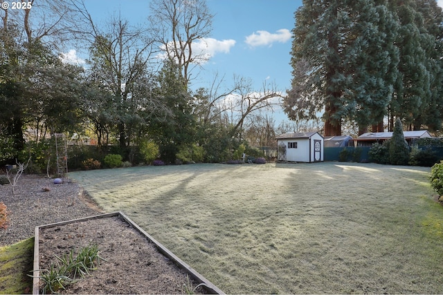 view of yard with a storage shed