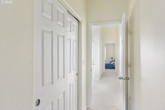 hallway with light colored carpet