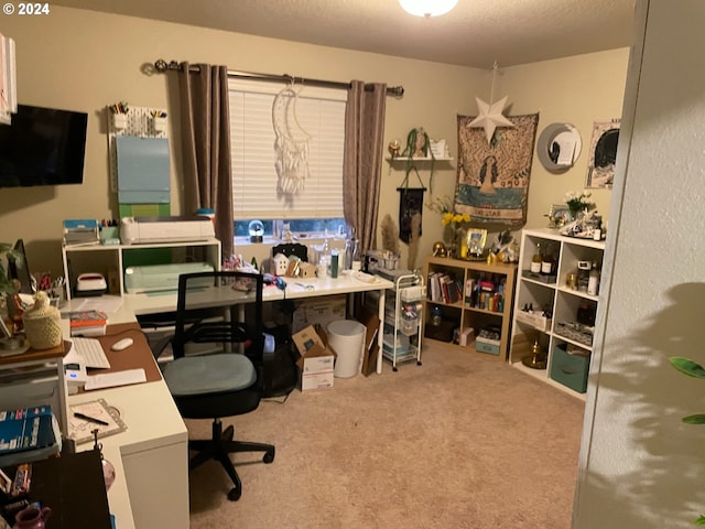 office with light colored carpet and a textured ceiling