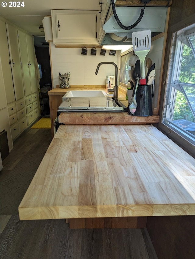 interior space featuring dark hardwood / wood-style flooring and green cabinets