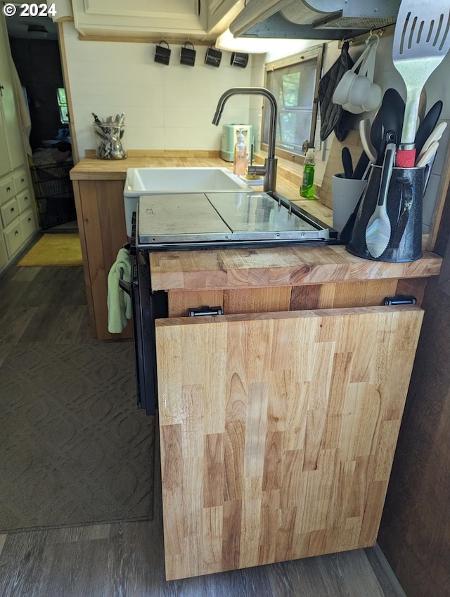 interior space with dark hardwood / wood-style flooring and sink